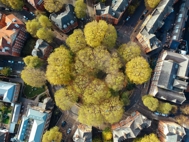 O papel das cidades na economia circular