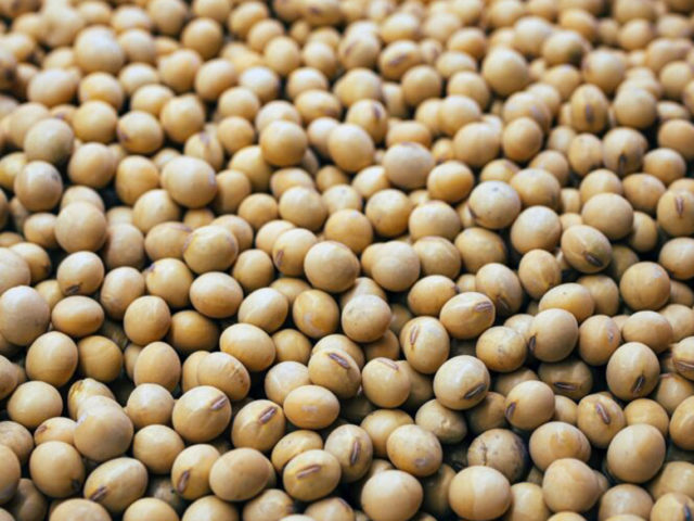 Mercado de proteína de soja atingirá US$ 17,1 bilhões até 2027